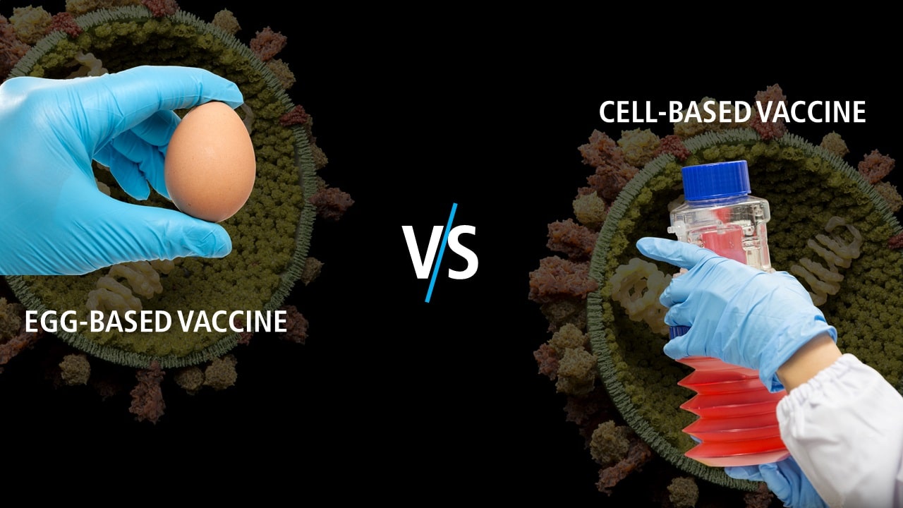 Common Cell Lines Used In Influenza Vaccine Production | Esco VacciXcell